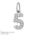 Polished stainless steel number 5 pendant with clear cubic zirconia in silver finish - Number 5(ZP39295) / Steel