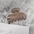Detailaufnahme der bernsteinfarbenen Haarklammer mit goldenem Barrette La France Text - Transparentes Hellkaffee