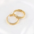 Elegant gold-tone double-layered hoop earrings with twisted woven texture on satin background - Gold