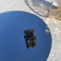 Détail d'une pince à cheveux ours en acétate écaille sur une surface miroir - Ours Indigo