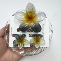 Detailed set of gradient floral hair claws with glitter finish on display card - First Love Snowflake Ink Set (with Card)