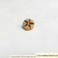 Natural dried 2-3cm white shell nut for Christmas DIY crafts and home decoration - White Shell Fruit
