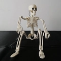 Bewegliches cremeweißes Halloween-Skelett aus Kunststoff für die Dekoration - Neues 40cm Skelett