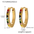 18K gold plated stainless steel hoop earrings featuring vibrant multicolor zircon stones - Stainless Steel / Gold Multicolor Zircon