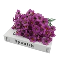 Artificial purple violet flower bouquet placed on a white book props background - Purple