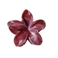 Macro detail of 8cm gradient plumeria hair claw with pink marble resin texture - 8cm / Red