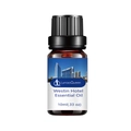 10ml Westin Hotel scent essential oil in brown glass bottle with black cap - Westin Hotel Fragrance