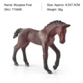 Figurine réaliste de poulain Murghese marron foncé avec détails de dimensions - Poulain Morgan (T15495)