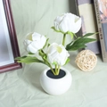 White artificial peony night light in a white ceramic pot for home decor - Style D-3 Peony Heads-White-Battery