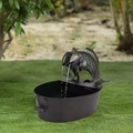 Dettaglio fontana da giardino con due statue di pesci in bronzo che versano acqua nel bacino - Flusso d'acqua a doppio pesce