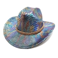 Cappello da cowboy arcobaleno con trama serpente cangiante e fascia intrecciata marrone - M (56-58cm) / Nero
