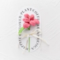 Handmade crochet pink tulip flower with gift packaging and ribbon for home decoration - Blooming Tulip - Pink