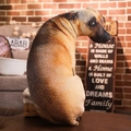 3D realistic brown dog plush pillow with lifelike animal print on soft fabric - 20cm / Hound