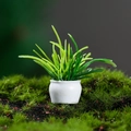 Miniature dollhouse plant with green grass in white ceramic pot on moss background - Needle Leaf Style (2号)