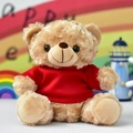 Close-up detail of a soft tan plush teddy bear doll wearing a vibrant red cotton t-shirt - Sitting Height 30cm / Red