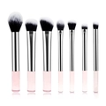7-teiliges Make-up-Pinsel-Set mit rosa transparenten Griffen und silbernen Zwingen - 7-teilig Silbern Transparenter Griff