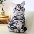 Lifelike American Shorthair cat plush pillow placed on a beige fabric sofa at home - Black White Cat 30*50cm