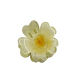 Light yellow translucent frangipani flower hair claw clip with golden glitter details - Colorful Plum Blossom Clip / Yellow