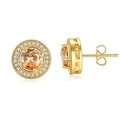 Luxuriöse goldene runde Ohrstecker mit großem Bernstein und Pavé-Kristall-Heiligenschein - Gold Champagner Zirkonia