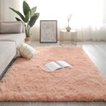 Modern rectangular pink plush carpet for Nordic minimalist bedroom and living room decor - Light Red Bean Paste (long-pile Version) / Custom Size (Contact Service)