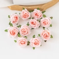 Diez cabezas de rosas de seda artificial rosa dispuestas sobre fondo blanco - Champaña