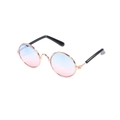 Retro round pet sunglasses with gold metal frame and blue-to-pink gradient lenses - Gradient Blue Round