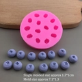 Pink silicone mold with 17 blueberry cavities and purple fruit samples for DIY baking - Silicone / M Size 13-hole Blueberry Mold