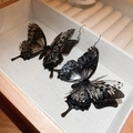 Dark style acrylic butterfly hook earrings with layered wings on a beige jewelry box - Black Butterfly Ear Hook