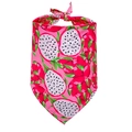 Detailed close-up of pink pet bandana with tropical dragon fruit pattern and soft fabric - Red Dragon Fruit