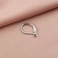 Macro detail of silver stainless steel leverback earring hooks for DIY jewelry making - Steel Color Oval