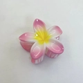 Pink and yellow gradient frangipani hair claw clip for women's floral hair accessory - Bauhinia Hair Claw / Pack of 12 (8x7x4.3cm) / Pink