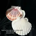Style A binder with natural white scallop and textured reddish-brown shell shells - Queen Shell Notepad (Off-White Series)
