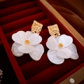 Dettaglio di orecchini a fiore bianco e borchie dorate in una scatola di velluto rosso - Bianco