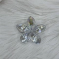 8cm Frangipani Flower Solid Color Transparent Tinted White Standard