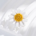 Macro close-up of a white and yellow daisy brooch with detailed resin flower petals - White Daisy