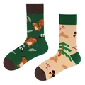Mid-calf cotton socks featuring green squirrel and beige forest mushroom jacquard patterns - One Size / Forest Squirrel