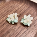 2504258a Crystal Beaded Earrings (s925 Silver Needles)
