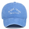 Gedetailleerd borduursel van de tekst IN DOG YEARS I'M DEAD op gewassen blauwe katoenen pet - Verstelbaar / Hemelsblauw