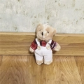 Gros plan d'un ours en peluche mignon avec chemise à carreaux rouge et salopette - Hauteur: 10cm / Style Homme Rouge