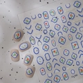 Stickers à ongles français Co-399 avec cadres bleus et roses rouges pour manucure DIY - Style de Bordure Rose Rétro (CO-399)