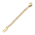 Golden 7cm stainless steel extension chain with lobster clasp and S.Steel tag - Gold Bar Tag