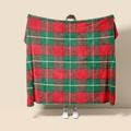 Detail of soft red and green plaid flannel blanket texture for Christmas home decor - Style 25 (Red Green Grey Plaid)