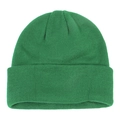 Classic bright green ribbed knit beanie hat with a fold-over cuff in minimalist style - Dark Green
