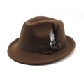 Vue détaillée du chapeau fedora en feutre marron avec plume élégante et ruban chic - M (56-58cm) / café