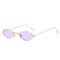 Retro oval sunglasses with purple lenses and slim gold metal frame in a minimalist style - Gold Frame Purple Lens