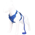 Adjustable sapphire blue mesh pet harness and leash set with reflective safety strips - S / Blue Gold