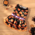Halloween pet dress for small dogs with orange pumpkin prints and purple ghost ribbon - S / Pumpkin Lace Dress Black
