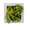 Artificial succulent in square white wood frame with green leaves and yellow berries - Style 40A