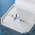 Eleganter S925 Sterlingsilber Ring mit blauem Walflosse und Mondstein auf Samt - Einstellbar Offen / Damenmodell-Walflosse Mondstein
