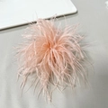 Macro detail of fluffy light pink ostrich feather brooch with soft texture and plume - Light Orange